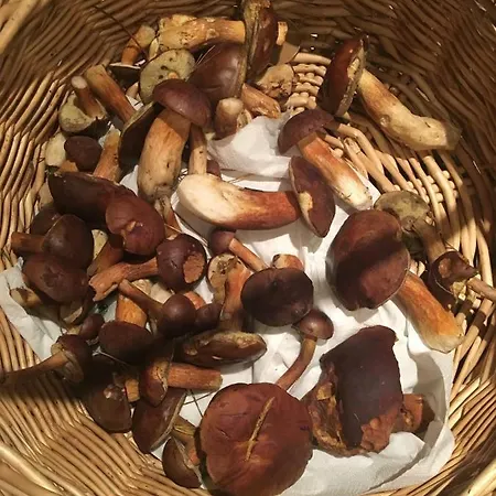 Dom 4 Z Basenem Blisko Warszawy Casa de Férias Józefów