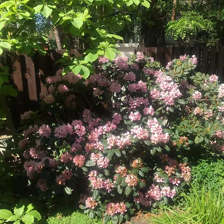 Dom 4 Z Basenem Blisko Warszawy *